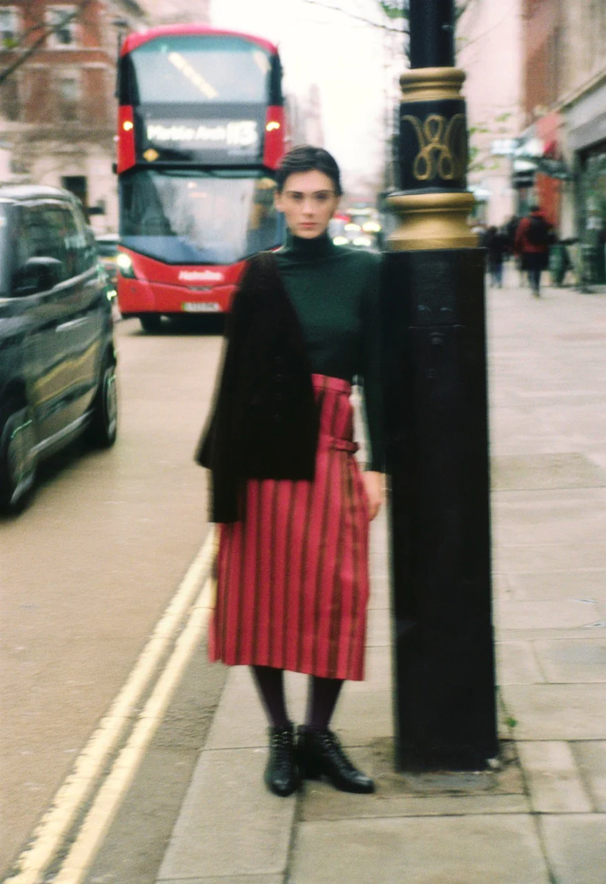 Fiona Skirt Striped - Image 3